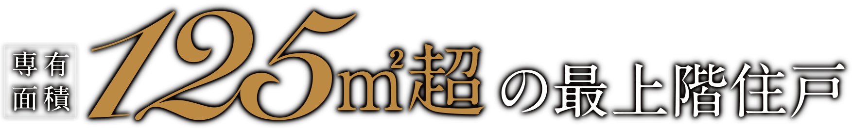 専有面積125m2超の最上階住戸